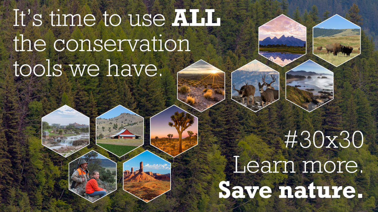 An Audacious and Timely Conservation Challenge US Nature4Climate