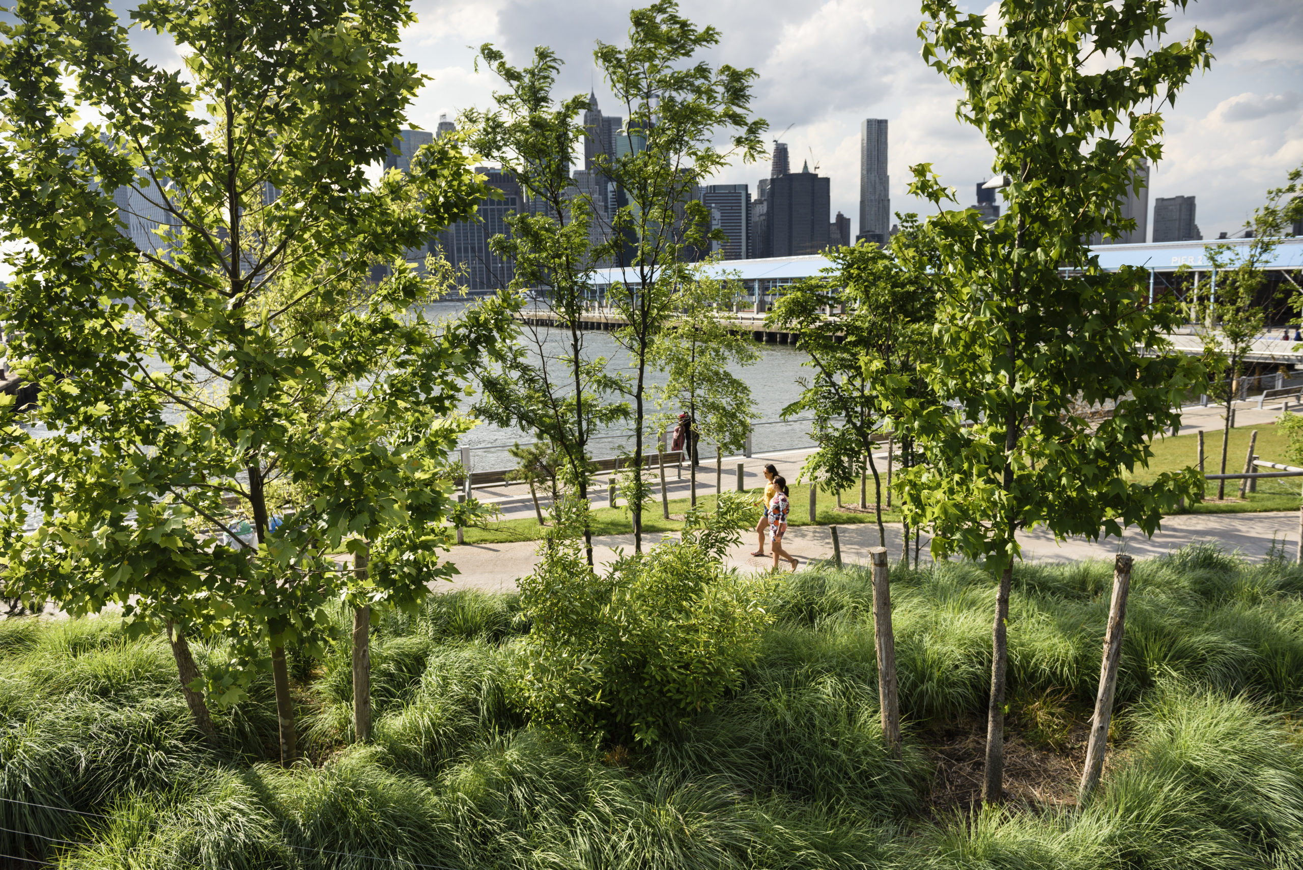 Seeing the City for the Trees  US Nature4Climate