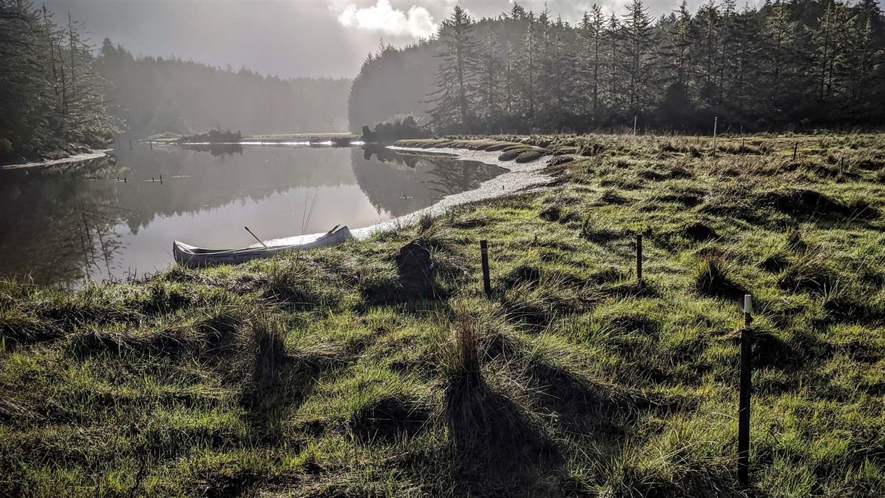 Oregon Climate Plan Is First In U.S. To Account For ‘Blue Carbon ...