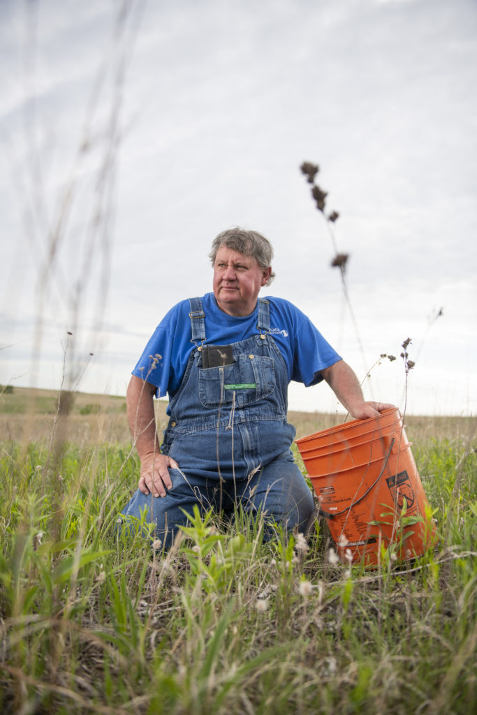 Keith Bennett, seed harvest and restoration technician for TNC’s Dunn Ranch Pawnee Prairie, collects seeds at the prairie preserve in Hatfield, Missouri, U.S.