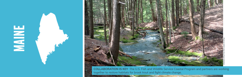 USFWS Coastal Program benefits fish and fishing in Freeport, Maine