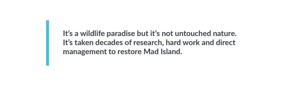 This is a heading that says "It’s a wildlife paradise but it’s not untouched nature. It’s taken decades of research, hard work and direct management to restore Mad Island."