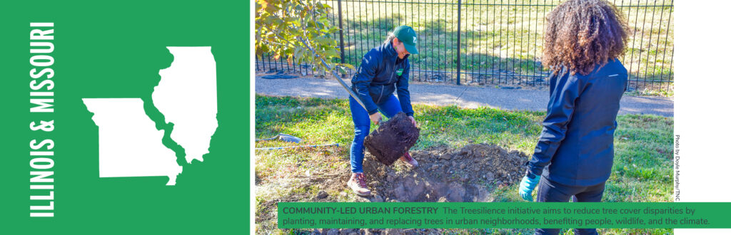 Woman planting a tree in a suburban area with a caption that says "Urban-led Urban Forestry: The Treesilience initiative aims to reduce tree cover disparities by planting, maintaining, and replacing trees in urban neighborhoods, benefiting people, wildlife, and the climate.