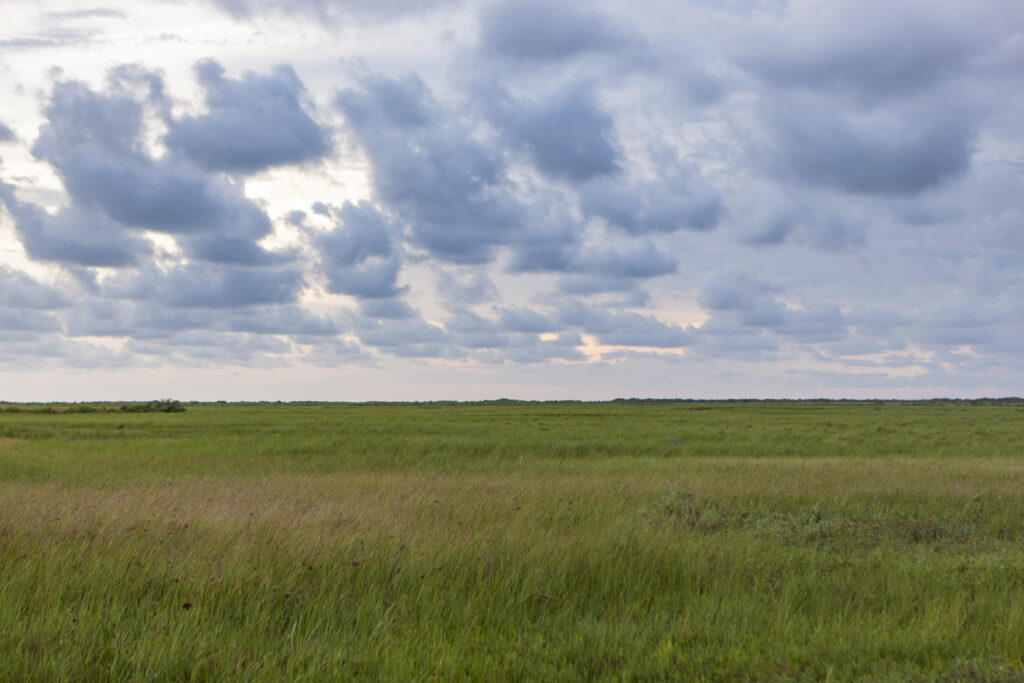This is a picture of Clive Runnells Mad Islands Marsh Preserve at sunrise.
