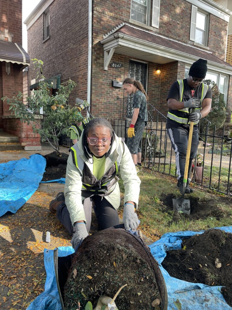 Picture of one Imani Green Health advocate being trained in urban forestry by planting a tree.