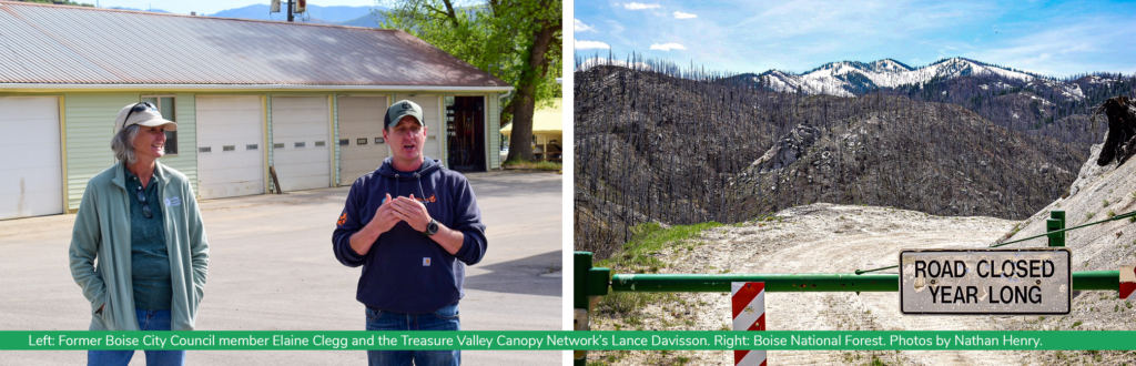 Community leaders in Boise got together at the recently completed post-fire reforestation project in the Boise National Forest to celebrate the project's completion.