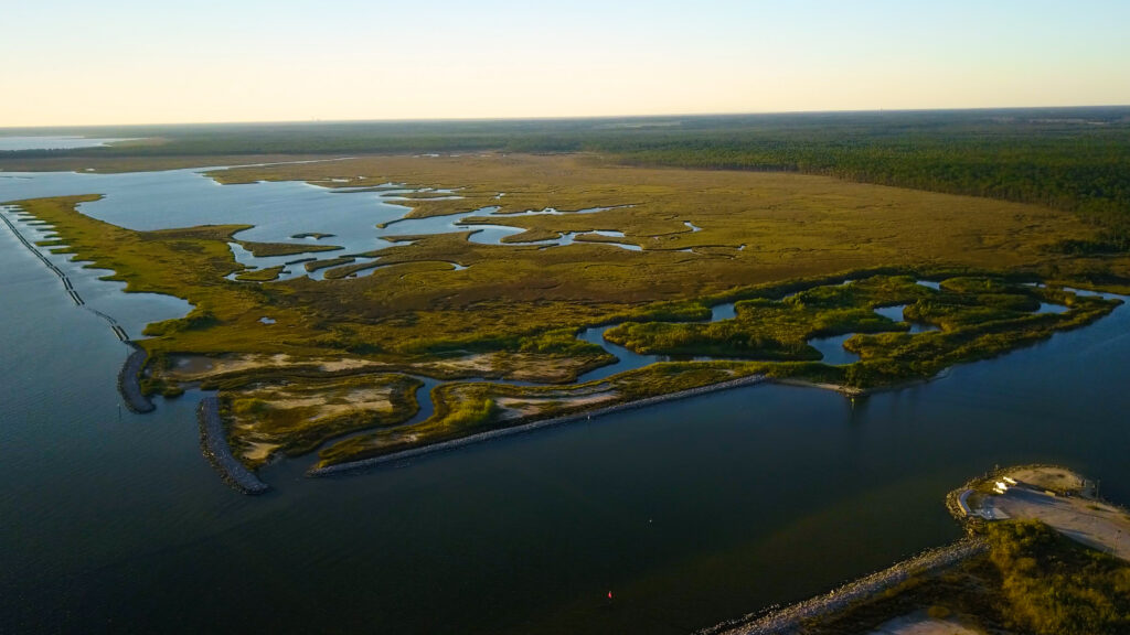 Conserving coastal wetlands like the tidal marsh pictured here, can sequester carbon ten times faster than tropical rainforests, acting as a powerful Natural Climate Solution.