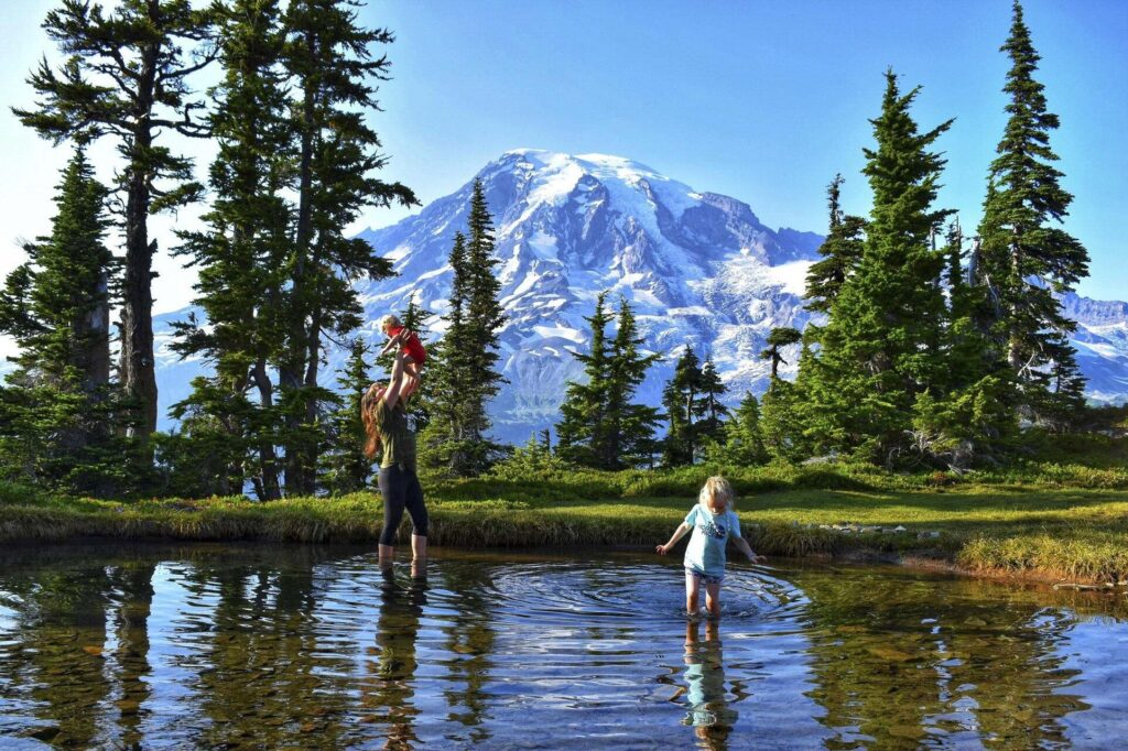 Picture of family playing in a creek surrounded by trees at Cascade National Park. Natural climate solutions like protecting the lands that make America beautiful must be a priority for climate action.