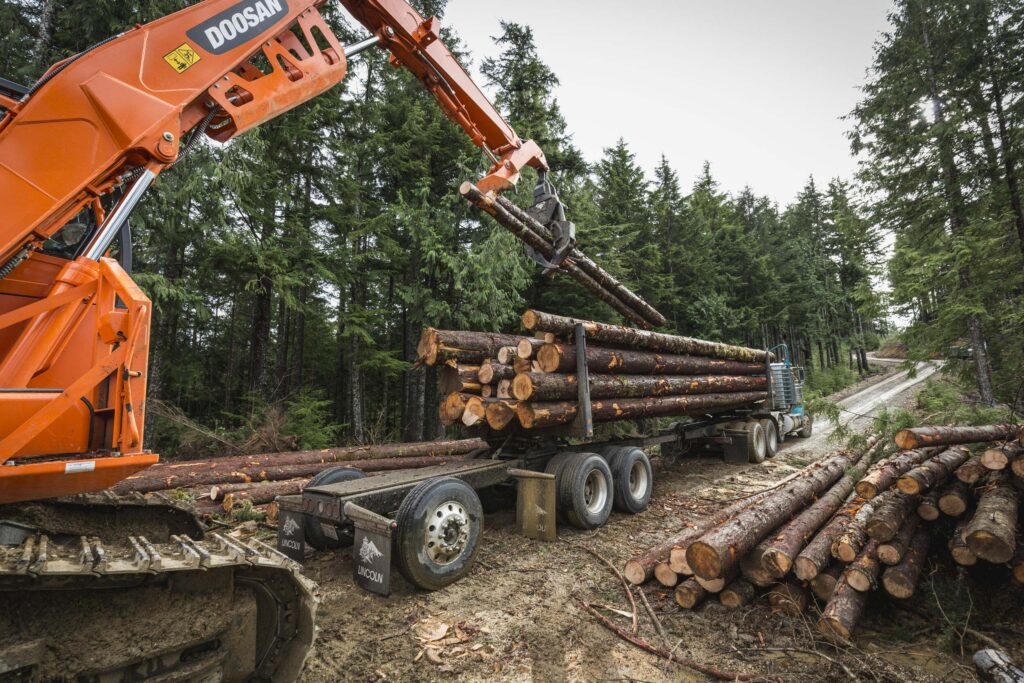 Picture of logged small-diameter trees, which can serve as a natural climate solution (reducing wildfire risk) while providing economic opportunities like jobs in rural communities.