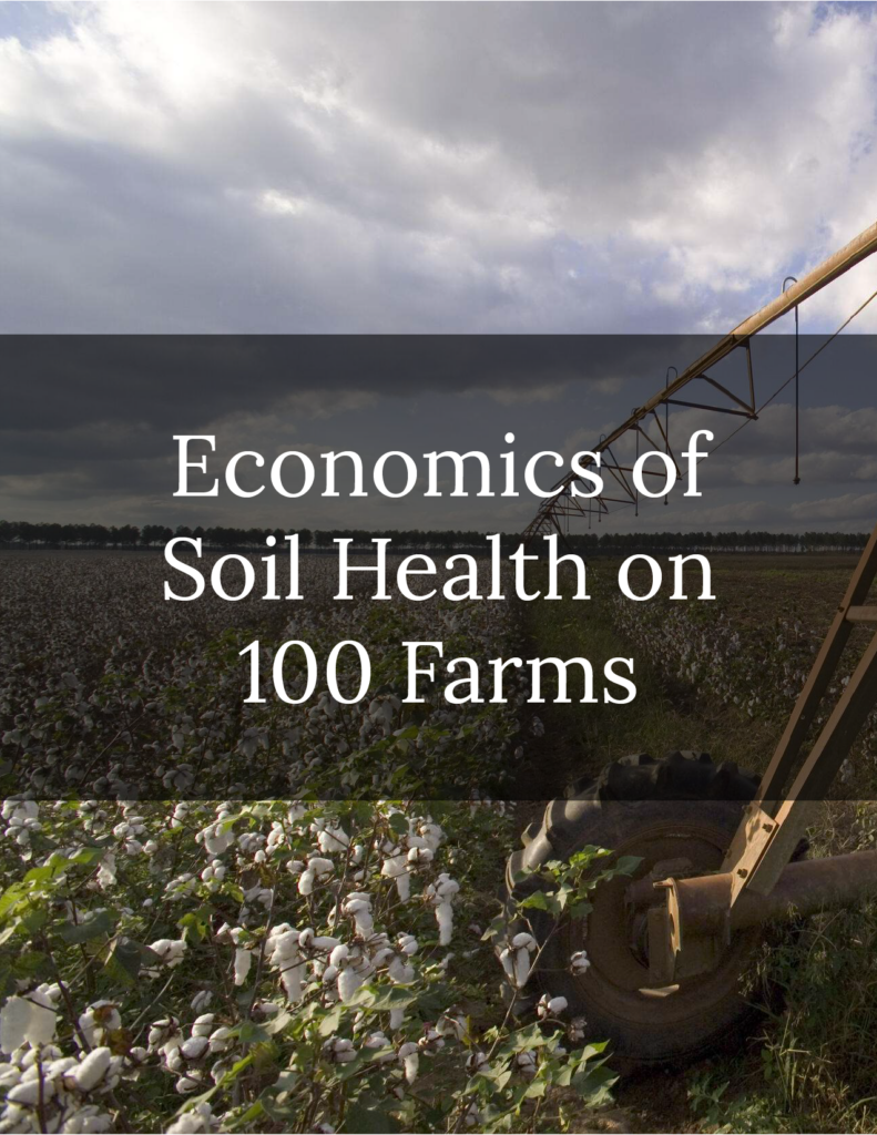 Photo of a cotton farm where soil health practices were implemented as a solution for climate impacts.